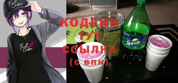 прущие грибы Дмитров
